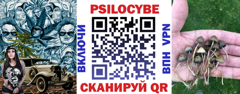ссылка на мегу ССЫЛКА  Спасск-Дальний  Псилоцибиновые грибы GOLDEN TEACHER 